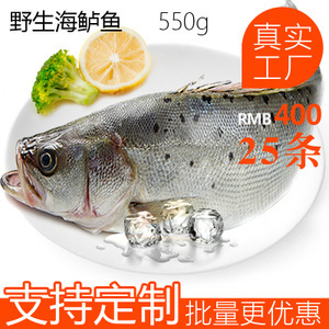 冷凍鱸魚市場分析 價格、圖片、批發(fā)采購及供應(yīng)商渠道