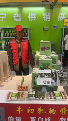 供銷優(yōu)勢聚合，農(nóng)特產(chǎn)品閃耀——宏偉區(qū)供銷社參展東北亞(營口)農(nóng)副產(chǎn)品展銷會紀(jì)實(shí)