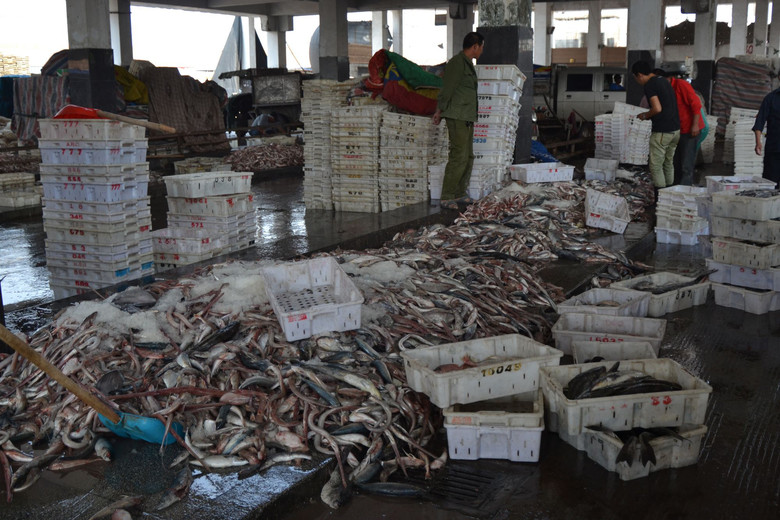 松門水產批發市場 邊買邊拍，探訪鮮活水產品批發新體驗