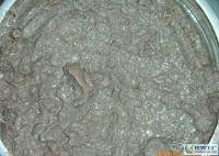 煙臺漁民自家發酵蝦醬 16元500克，小額批發優選