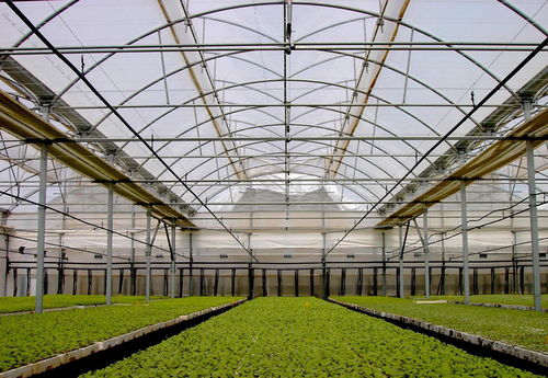 深度解讀 溫室大棚“幾字鋼”式骨架與水產(chǎn)養(yǎng)殖的結(jié)合應(yīng)用