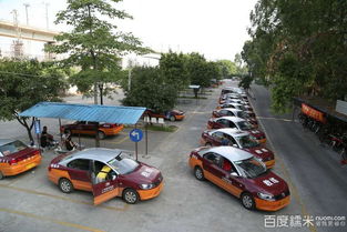 安培機動車駕駛員培訓店獅嶺分店全攻略 電話地址、營業時間、價格評價及優惠信息匯總