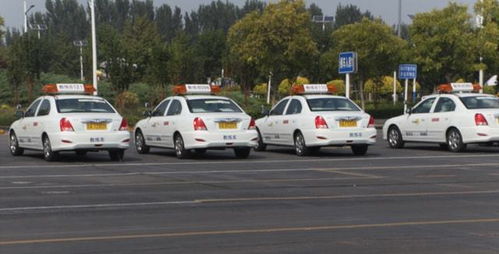 本市機動車駕駛員培訓行業信用評價體系即將全面實施，促進行業規范與服務質量提升