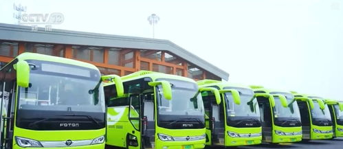 創新迭代、跨界融合與國際合作 中國新能源汽車產業海外投資勢頭強勁